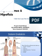 04 - Hipotalamus - Hipofisis