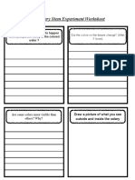 Celery Stem Experiment Worksheet