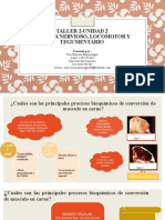 Laboratorio 2-Sistema Nervioso