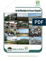 2010 Agenda Ambiental Del Municipio de Armero Guayabal