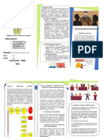 TRIPTICO DE PROCESO ABREVIADO LABORAL Modificado