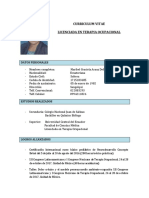 Curriculum Vitae 2