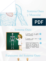 Sistema Óseo y Mucular