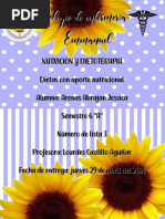 Dietas Con Aporte Nutricional