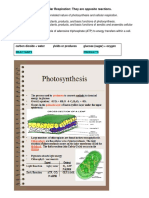 CT 25 - Photosynthesis and Cellular Respiration Review Sheet