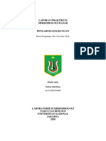 Laporan Praktikum Mikrobiologi Dasar: Dosen Pengampu: Dra. Noverita, M.Si