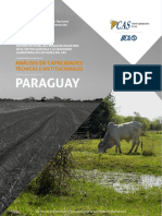 Analisis de capacidades tecnicas  en el Agro de Paraguay