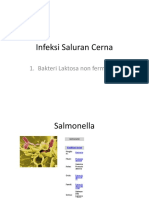 Infeksi Saluran Cerna