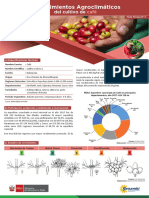 Ficha Tecnica07 Cultivo Cafe