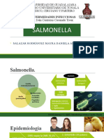 16-Salmonelosis Infecto