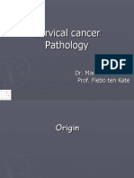 Cervical Pathology 4