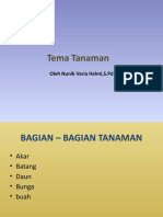 Tema Tanaman