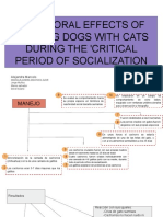 BEHAVIORAL EFFECTS OF REARING DOGS WITH CATS DURING THE CRITICAL PERIOD OF SOCIALIZATION (2)