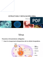 Clase Virologia Completa