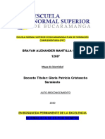 Mapa de Identidad Brayan Mantilla 1200A - Autorreconocimiento