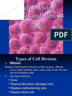 Cell Division Mitosis and Meiosis