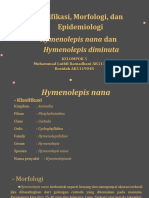 Klasifikasi, Morfologi, Dan Epidemiologi: Hymenolepis Nana Dan Hymenolepis Diminuta