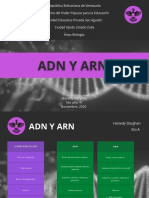 Cuadro Comparativo Adn y Arn Hanedy Darghan