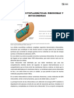 Lectura Complemetaria 5