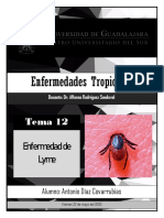 Tema 12. Enfermedad de Lyme. ADC