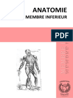 Membre Inf 2.0