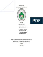 MAKALAH Kebijakan Desa Siaga .KEL 2 REG B