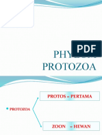 1 Phylum Protozoa