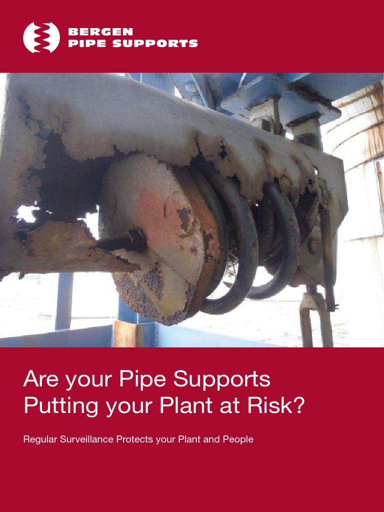 Pipe Support Inspection Services | PDF | Pipe (Fluid Conveyance) | Nature