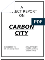 A Project Report ON: Carbon City