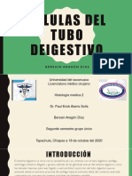 Células Del Tubo Deigestivo 3