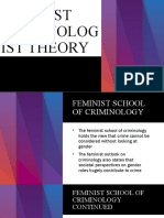 Feminist Criminologist Theory