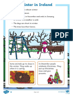 Winter in Ireland 1st and 2nd Class Differentiated Reading