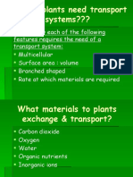 Why Do Plants Need Transport Systems???