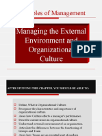 CH 3 Managing The External Environment and Organizational Culture