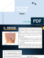 Anatomi Sistem Hepatobilier dan Pancreas