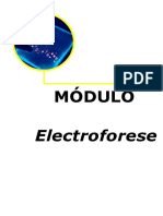 Eletroforese