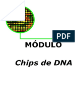 Chips de DNA