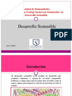 Desarrollo Sostenible