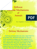 Defense Mechanisms of Animals