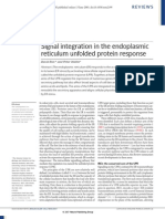 Signal Integration in The Endoplasmic Reticulum Unfolded Protein Response