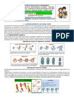 Guia 6° Reproduccion Celular Covid-19