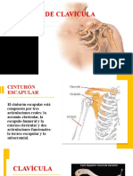 01.-Lesiones de Clavícula