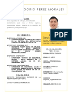 Curriculum Gregorio Perez Morales-1