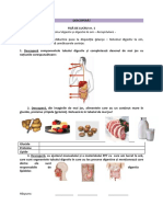 Proiect Biologie