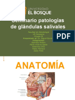 Seminario Patologia de Glandulas Salivales