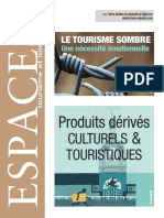 Revue ESPACES Tourisme Et Loisirs 337 (Le Tourisme Sombre Les Produits Dérivés Culturels Et Touristiques)
