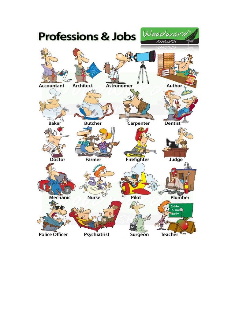 Professions and Jobs | PDF