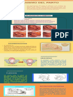 Mecanismo de Parto