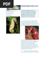 Download MEMELIHARA KUDA LAUT by Cik Qubis SN50534986 doc pdf