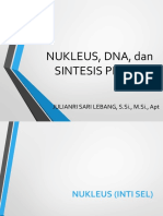 NUKLEUS, DNA Dan SINTESIS PROTEIN Edit